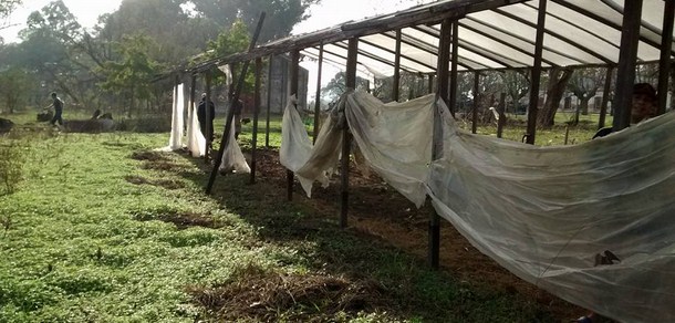 Docentes y estudiantes de la Facultad en un proyecto de extensión