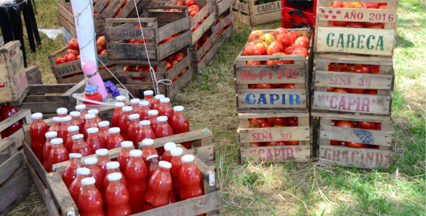 Beca para stand institucional de nuestra Facultad en la Fiesta del Tomate Platense