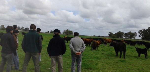 Recorrida con productores de Ranchos en el establecimiento El Amanecer- UNLP