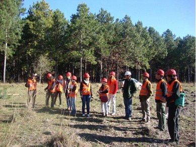 Viaje integrador de los cursos del área tecnológica de la carrera de Ingeniería Forestal