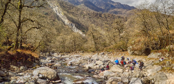 Viaje de campaña del curso de Dendrología