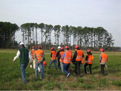 Viaje integrador de los cursos del área tecnológica de la carrera de Ingeniería Forestal