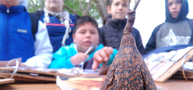 Visita de estudiantes de 5° año a nuestro Vivero Forestal