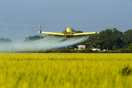 SUSPENSIÓN Jornada sobre Buenas Prácticas de Aplicación de Fitosanitarios 