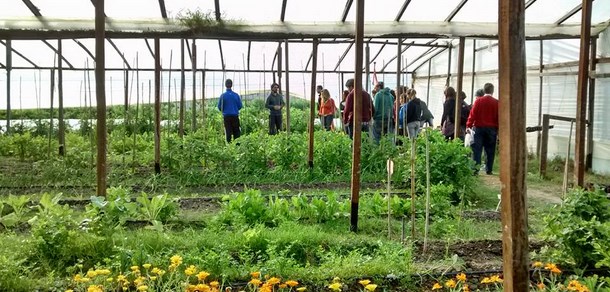 Taller de Huerta en la Facultad