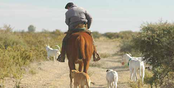 Jornada Trabajadores Rurales y Derecho Agrario