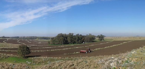 2da Semana de la Agroecología Extensiva 