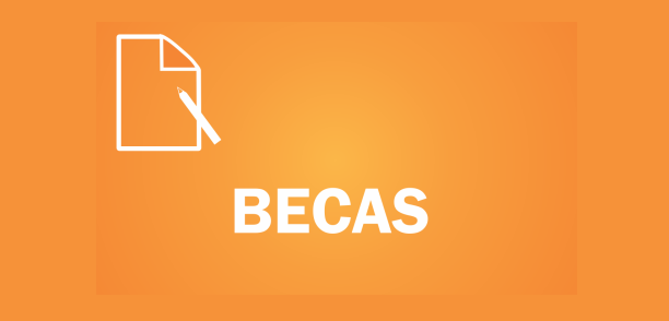  Convocatoria 2019 de Becas Postdoctorales de la UNLP