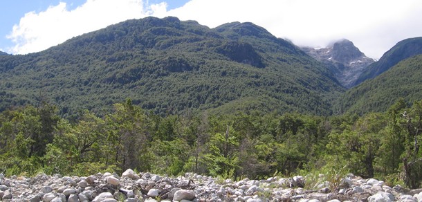 Ciclo de Charlas Curso Economía y Legislación Forestal