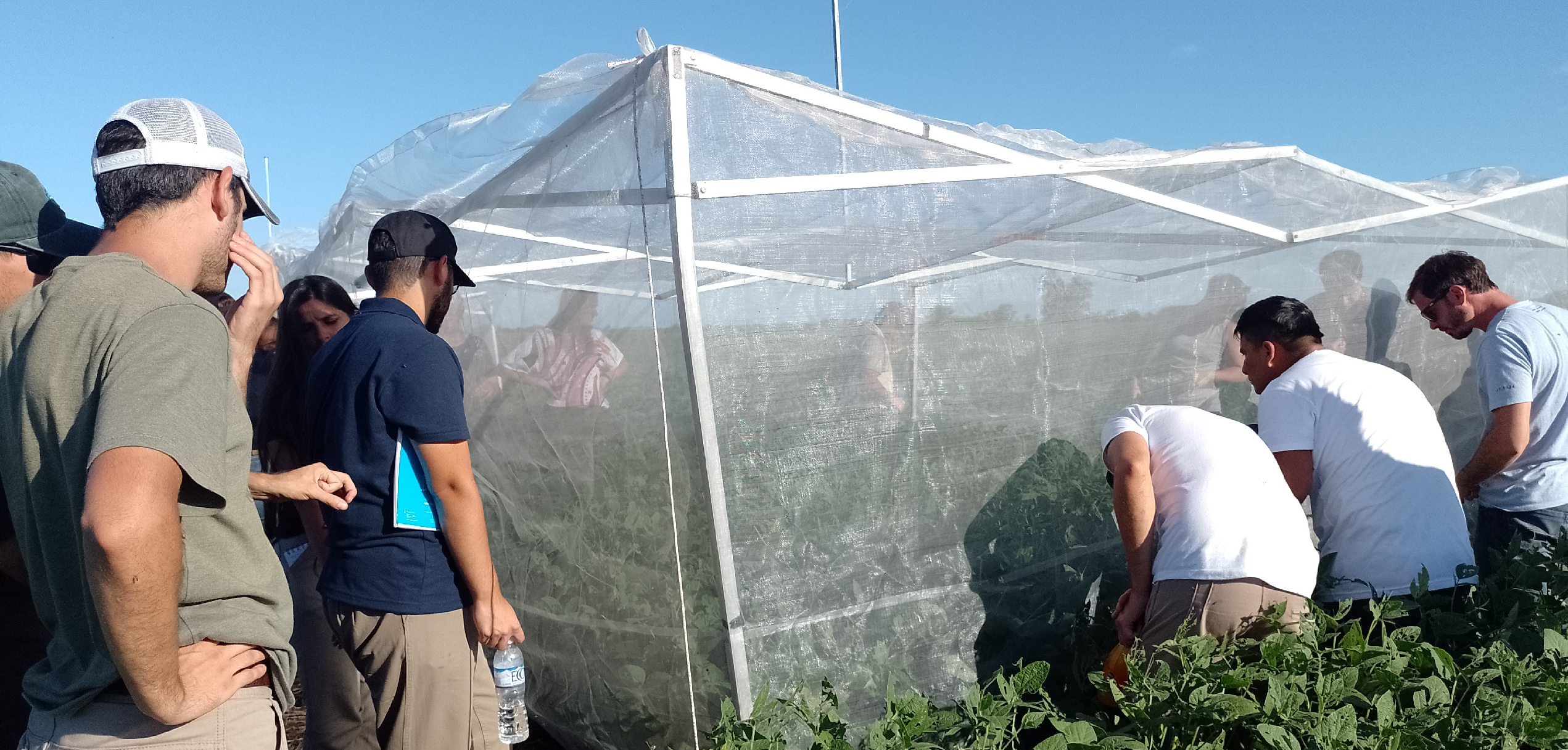 Visita de estudiantes del curso Oleaginosas y Cultivos Regionales a Pergamino