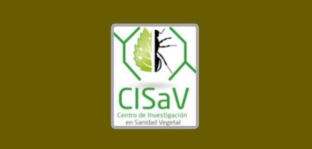 Última clase del Ciclo de Seminarios del CISaV.