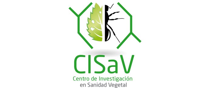 Jornada de Jóvenes Investigadores del CISAV