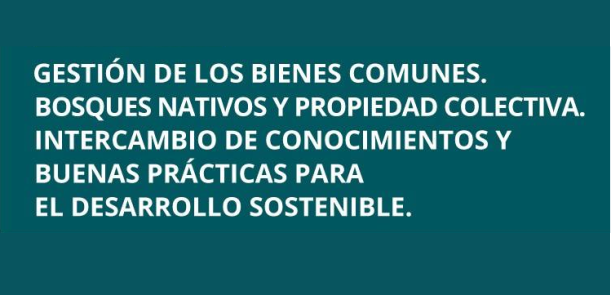 Encuentro internacional: Los bosques nativos y las buenas prácticas para el desarrollo sostenible