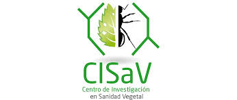 Nueva edición del Ciclo de seminarios del CISaV