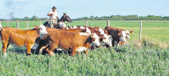 Consultorio Jurídico para trabajadores rurales y productores locales