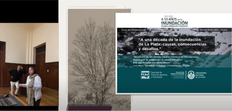 Beneficios de los árboles urbanos frente a las inundaciones. Estrategias de adaptación al cambio climático