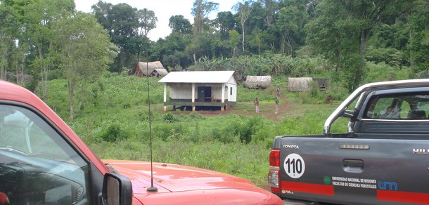 Forestales en Misiones