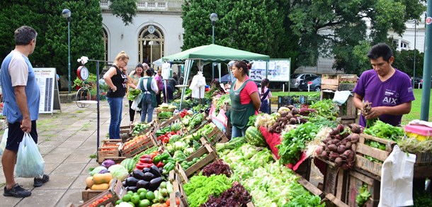 7° aniversario Feria Manos de la Tierra