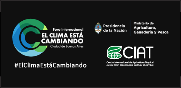 Foro Internacional Foro Internacional