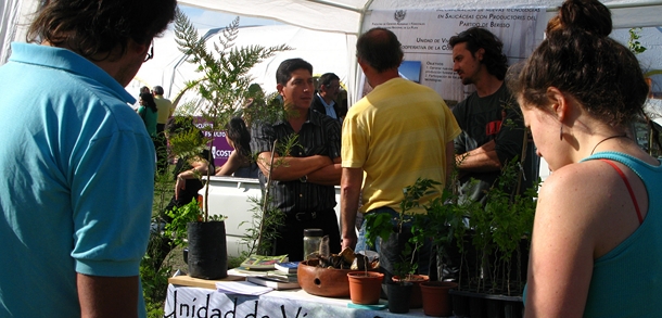 Llamado a Beca de Experiencia Laboral en la  Unidad de Vivero Forestal