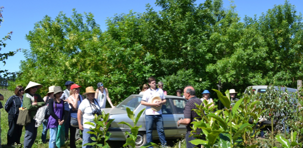 Finalizaron Cursos Extensión del Jardín Botánico con una visita al Vivero Las Delicias (Ferrari Hnos.) 