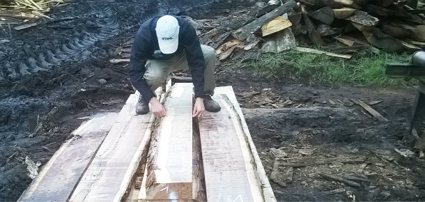 Programa de Participación Estudiantil de estudiantes de  Ingeniería Forestal 