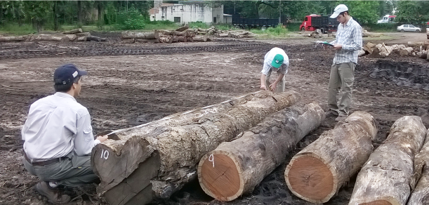 Programa de Participación Estudiantil de estudiantes de  Ingeniería Forestal 