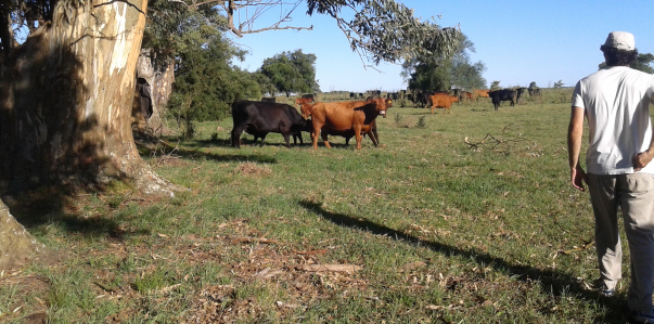 3°  Seminario Internacional de Ganadería Familiar y Desarrollo Rural