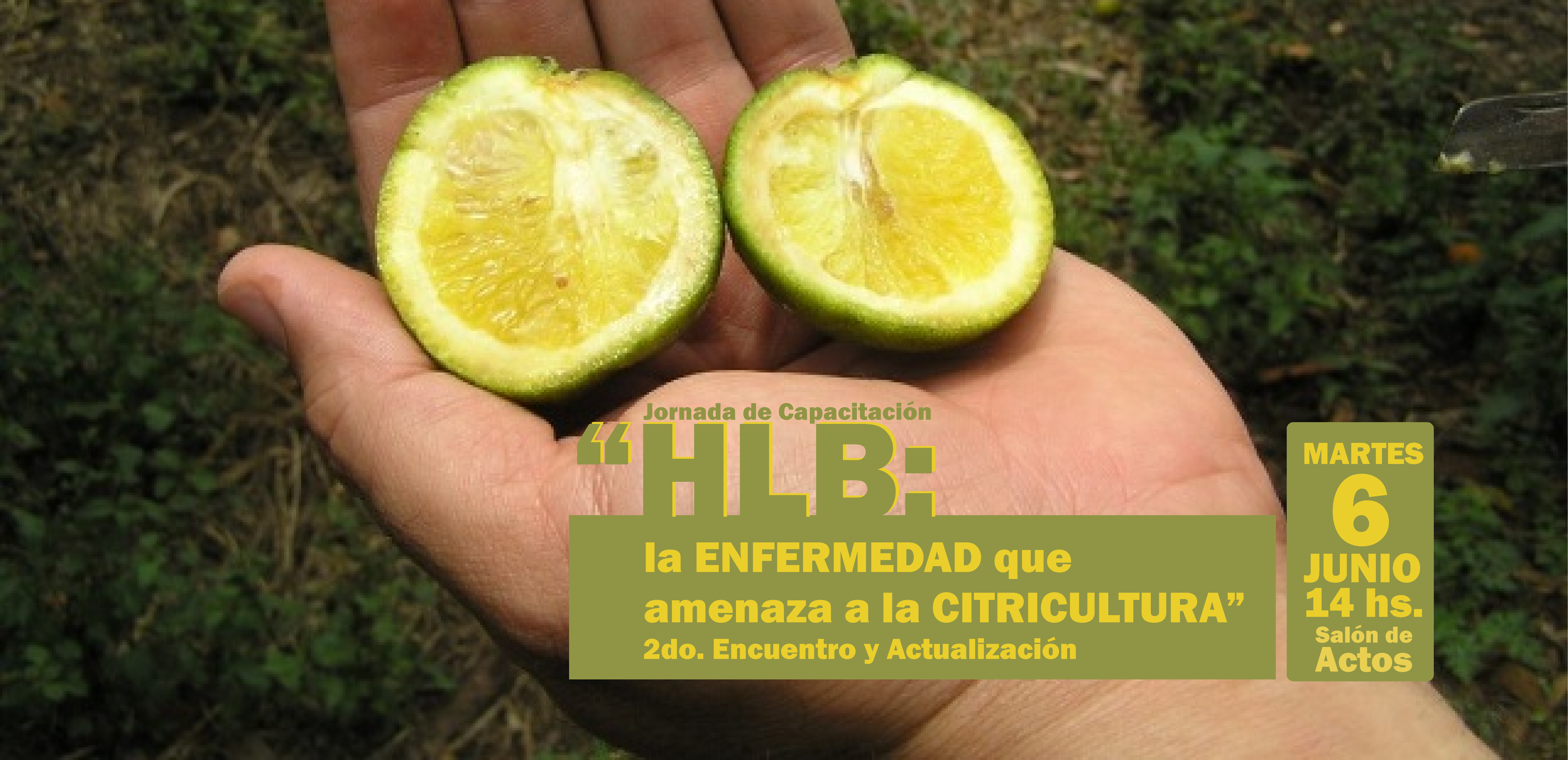 Jornada de Capacitación: Segundo Encuentro y Actualización: HLB La enfermedad que amenaza la Citricultura. 
