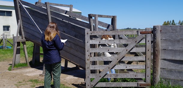 Finalizó el ciclo 2015 del Curso de Extensión de Bienestar Animal