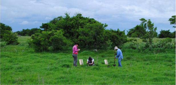 Convocatoria a pasantías en el Laboratorio de Investigación de Sistemas Ecológicos y Ambientales