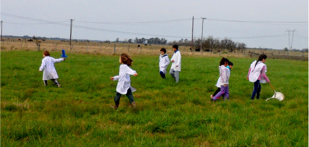 Enseñando el cuidado de la naturaleza con insectos benéficos en escuela primaria de Brandsen