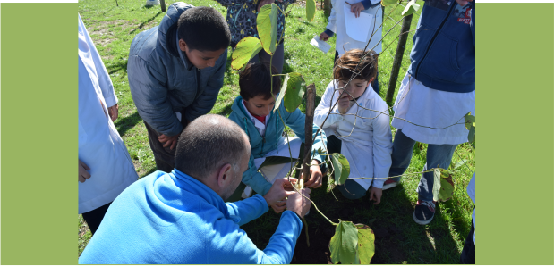 Enseñando los beneficios de los árboles en escuelas de Brandsen 
