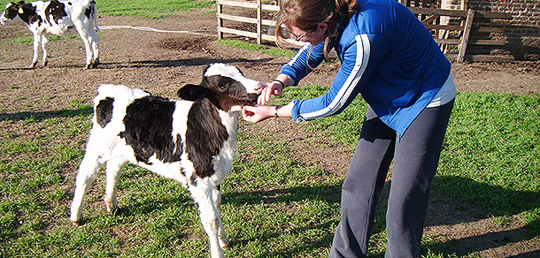 Curso de Extensión de Bienestar Animal