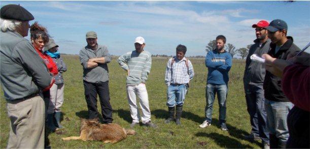 Proyecto de Extensión Universitaria “Sustentabilidad de productores ganaderos familiares en sistemas pastoriles” 