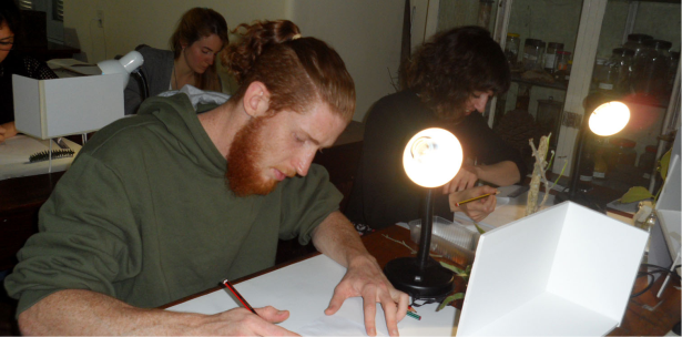 Se realizó el curso “Ilustración en el Jardín Botánico