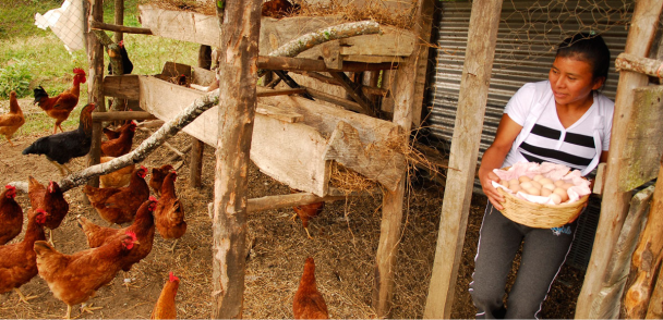 Taller: Poder y toma de decisiones, quién y cómo se decide en lo rural?