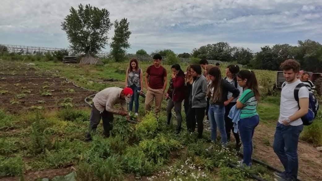 CONVOCATORIA  UNLP 2021 PROGRAMAS Y PROYECTOS BIENALES 