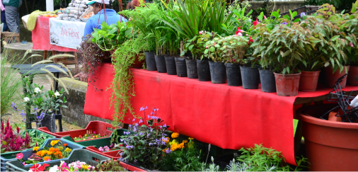 Reinició sus actividades la Feria Manos de la Tierra