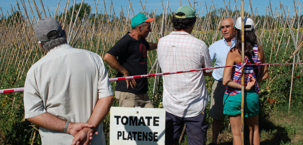 Fiesta del Tomate Platense