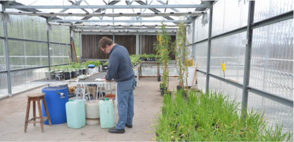 La Fisiología vegetal tiene algo que decir