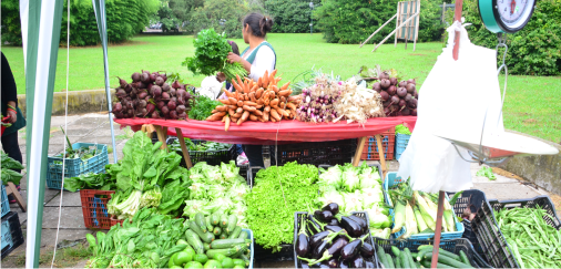 Reinició sus actividades la Feria Manos de la Tierra