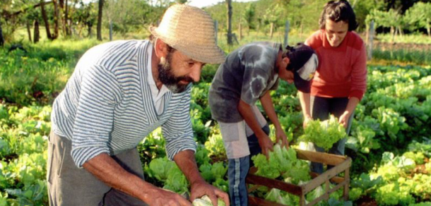 Finalizó el Segundo Congreso del Foro de Universidades Nacionales para la Agricultura Familiar