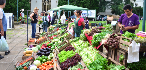 Reinició sus actividades la Feria Manos de la Tierra