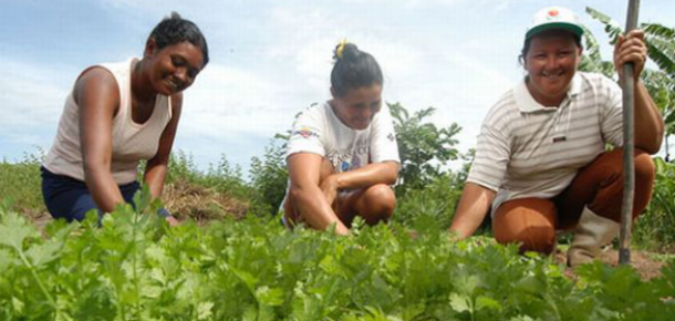 Finalizó el Segundo Congreso del Foro de Universidades Nacionales para la Agricultura Familiar