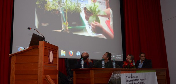 Iniciaron las IV Jornadas de Enfermedades y Plagas en Cultivos Bajo Cubierta