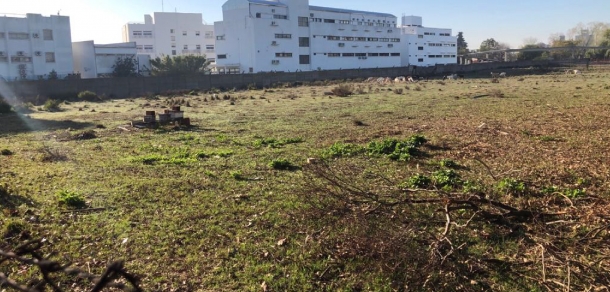 Compensación adecuada por la extracción de árboles por la construcción de la etapa de completamiento de los laboratorios  integrados