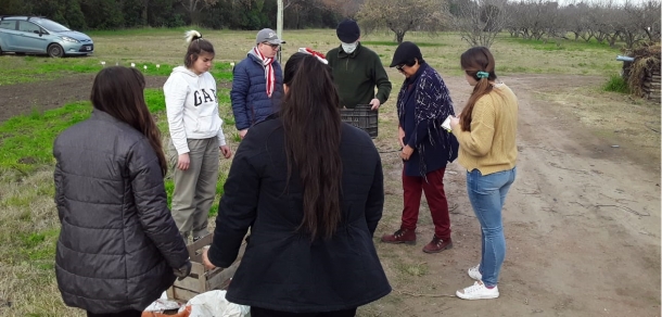  Jornada de campo de plantación de batata semilla para la obtención de plantines de tres variedades