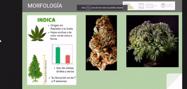 Inició el Curso de Extensión “Cultivo de Cannabis sativa con fines medicinales”