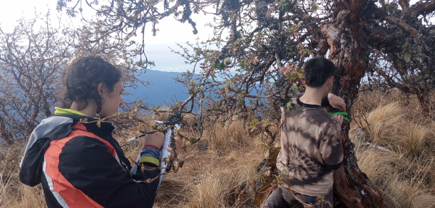 Viaje de campaña del curso de Dendrología - Estudiantes y docentes visitaron la Provincia de Tucumán